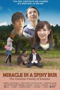 Чудо в Колючем Бору: Каштановая Семья из Касамы