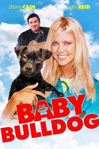 Малыш бульдог